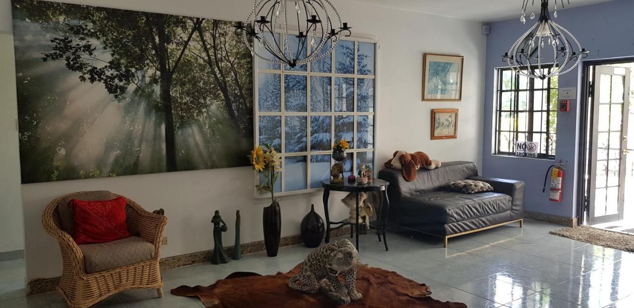 Little Savoy Guest House New Runaway Bay Ngoại thất bức ảnh